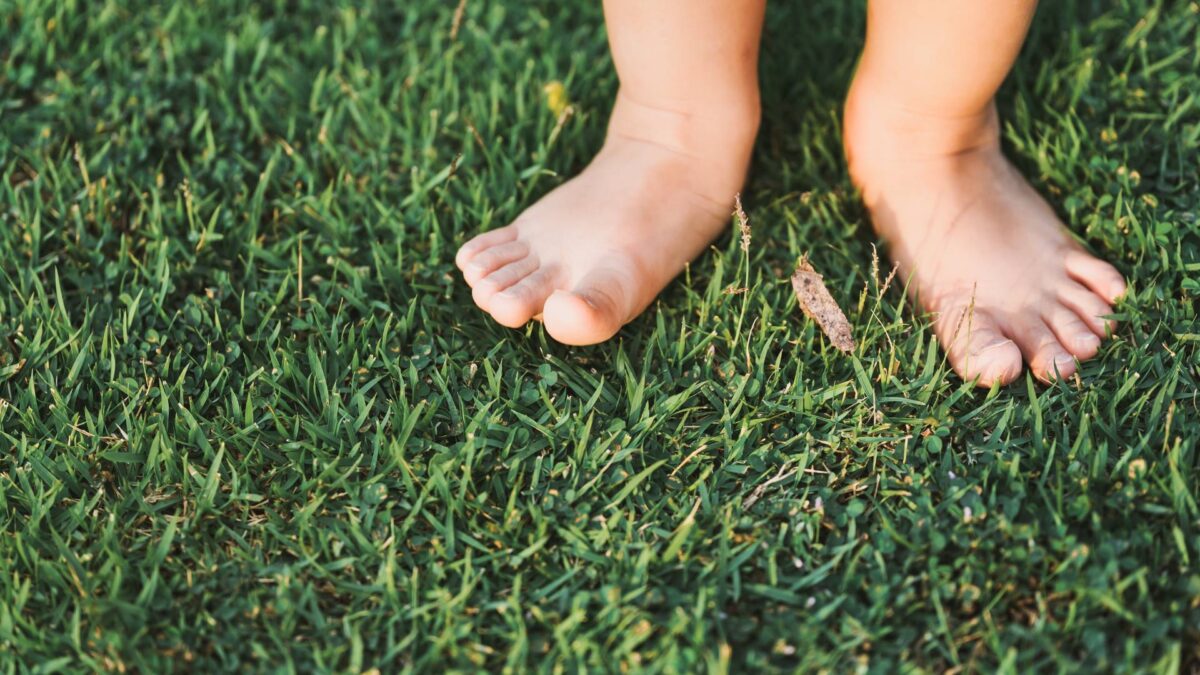 calzado barefoot