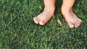 calzado barefoot