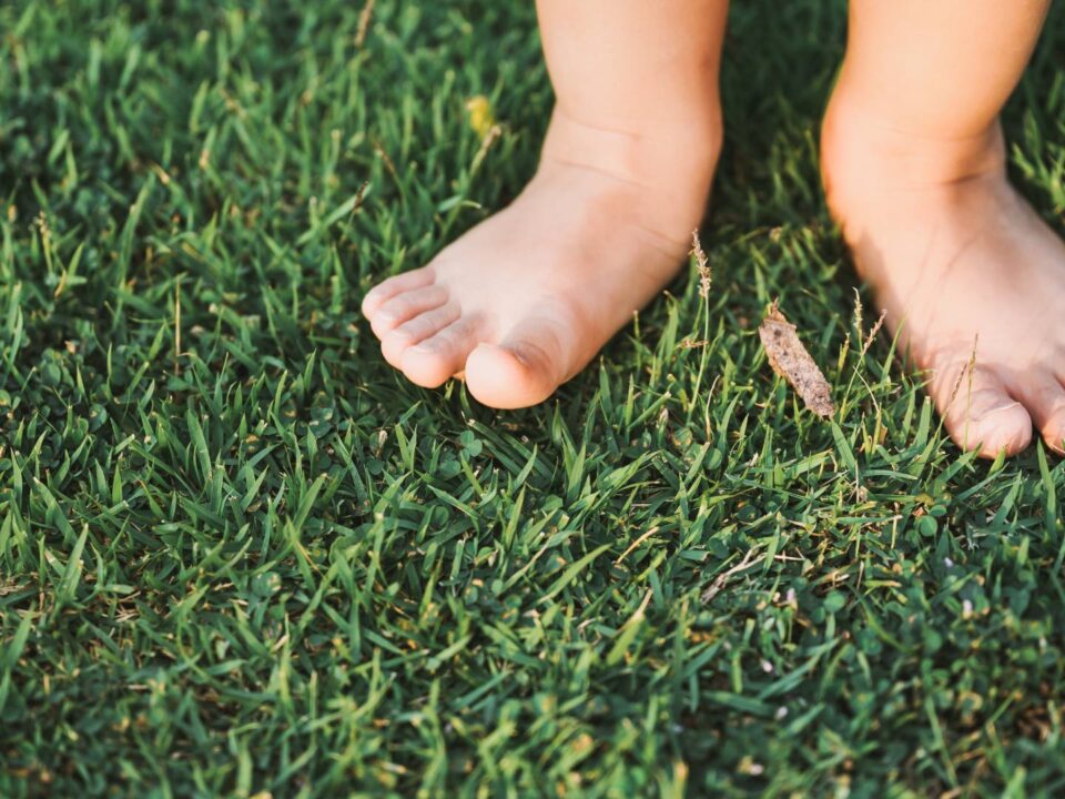 calzado barefoot