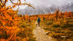 ropa montaña